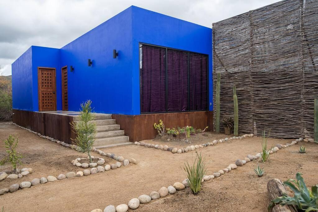 San Marcos  Suite Corazon En Casa Frida מראה חיצוני תמונה